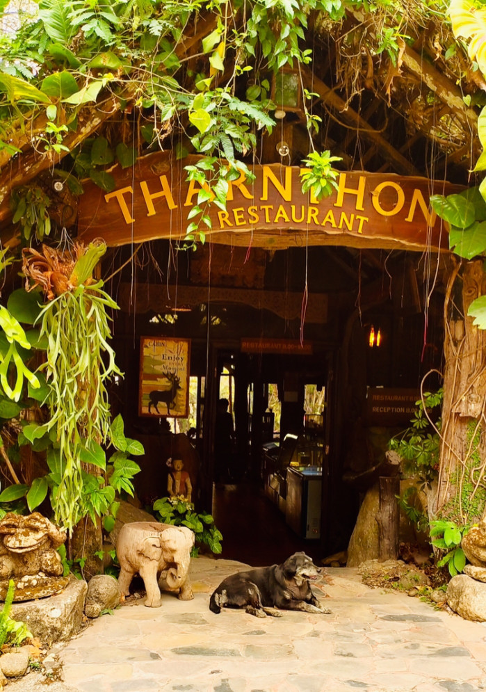 一年中什么时候去清迈最好