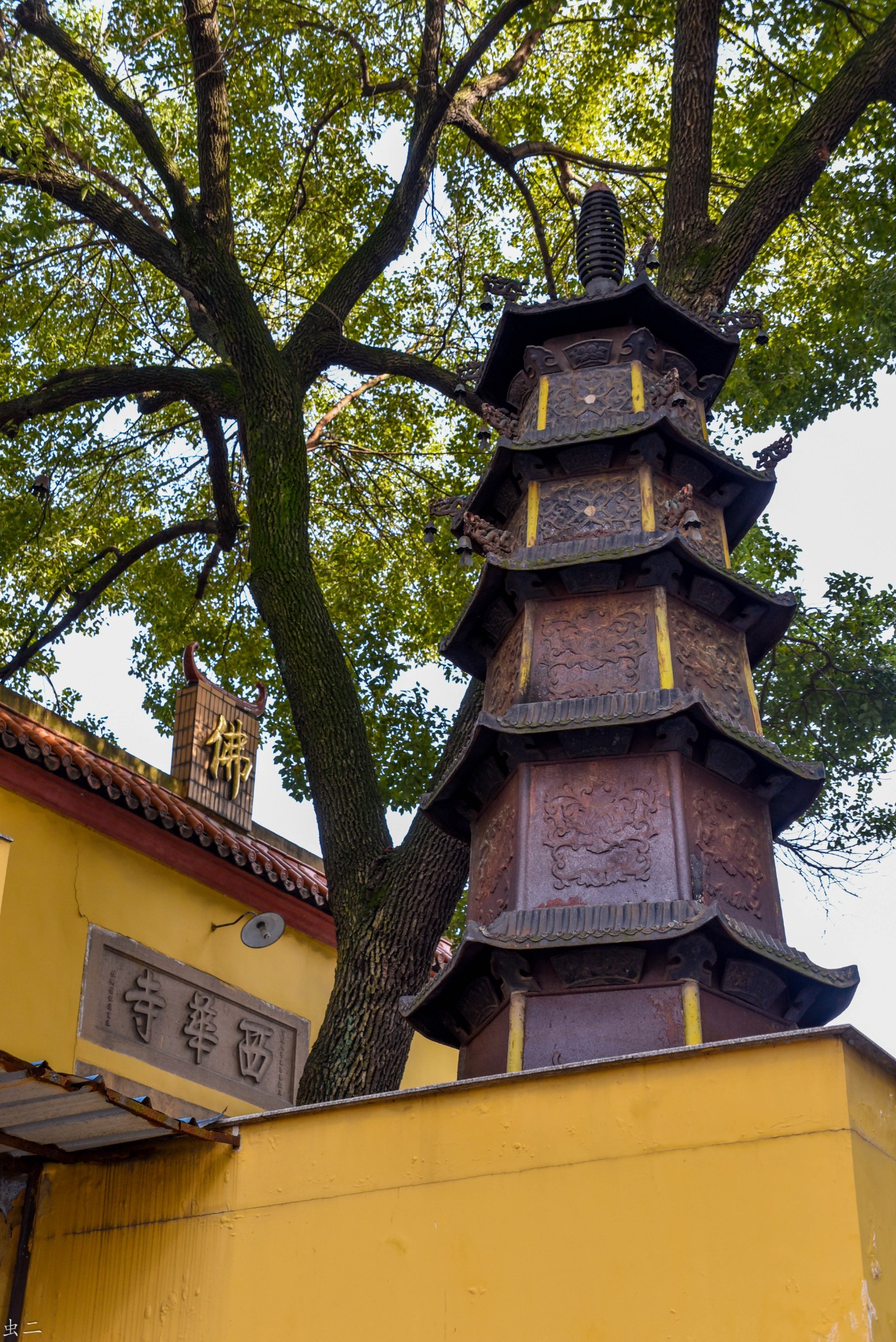 金华 西华寺 莲花井 宋代古寺古井