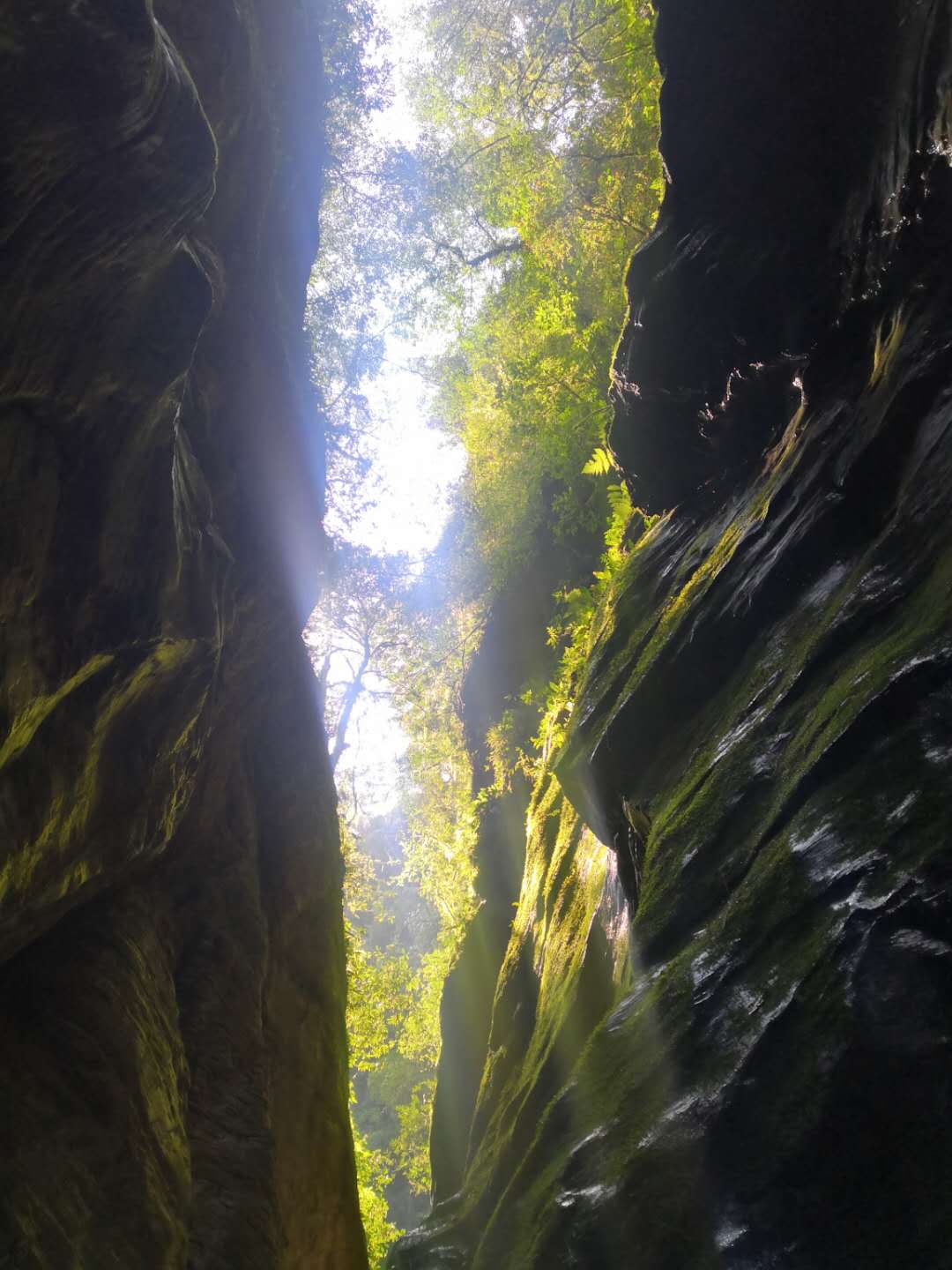 wKgEaVyst7eAbnwxAAHdWCWv1LY12.jpeg?imageView2%2F2%2Fw%2F600%2Fq%2F90%7CimageMogr2%2Fstrip%2Fquality%2F90