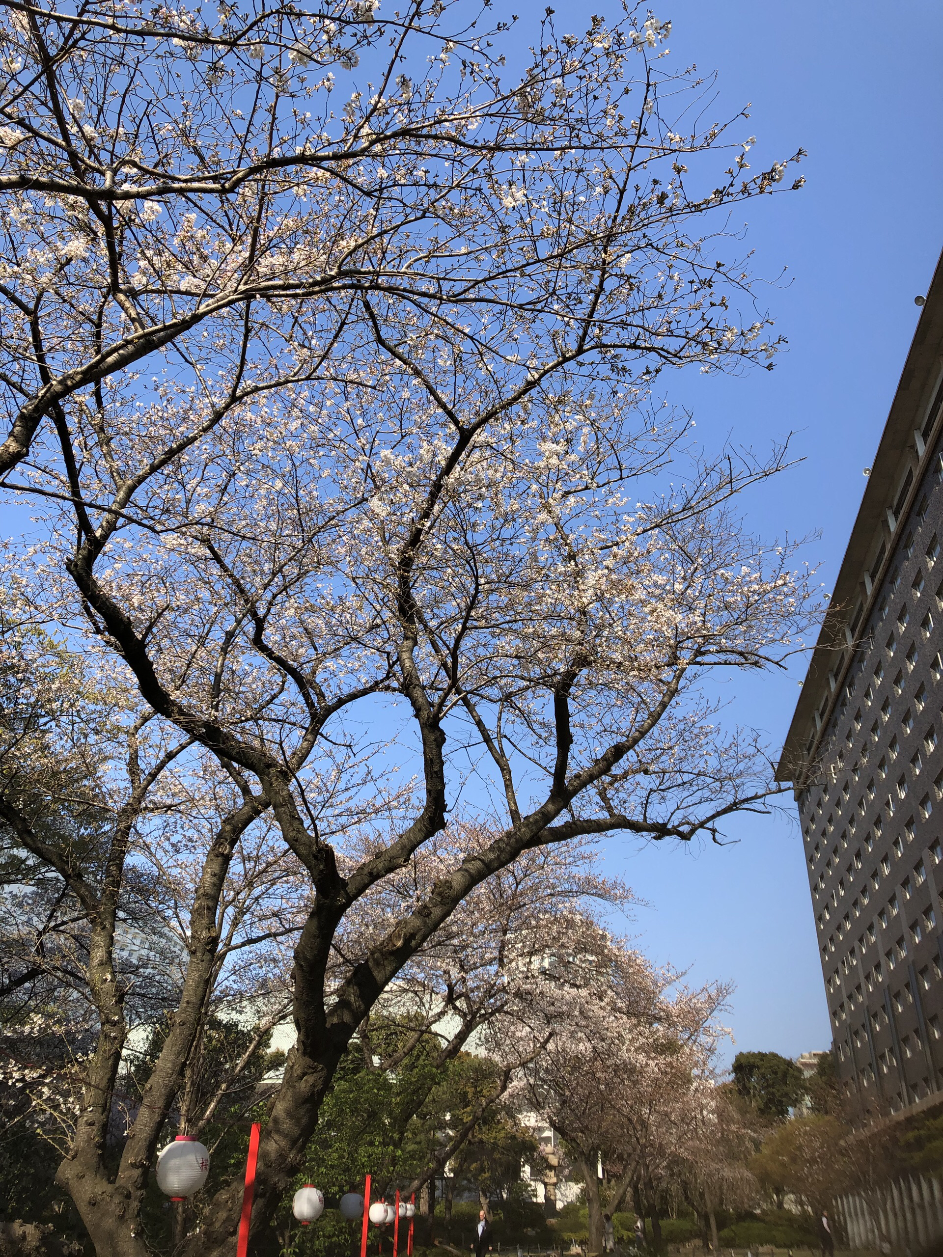 东京美食-kaisenyataiokuman