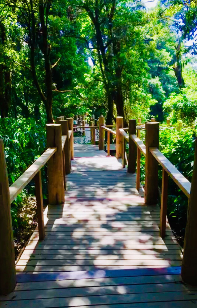 一年中什么时候去清迈最好