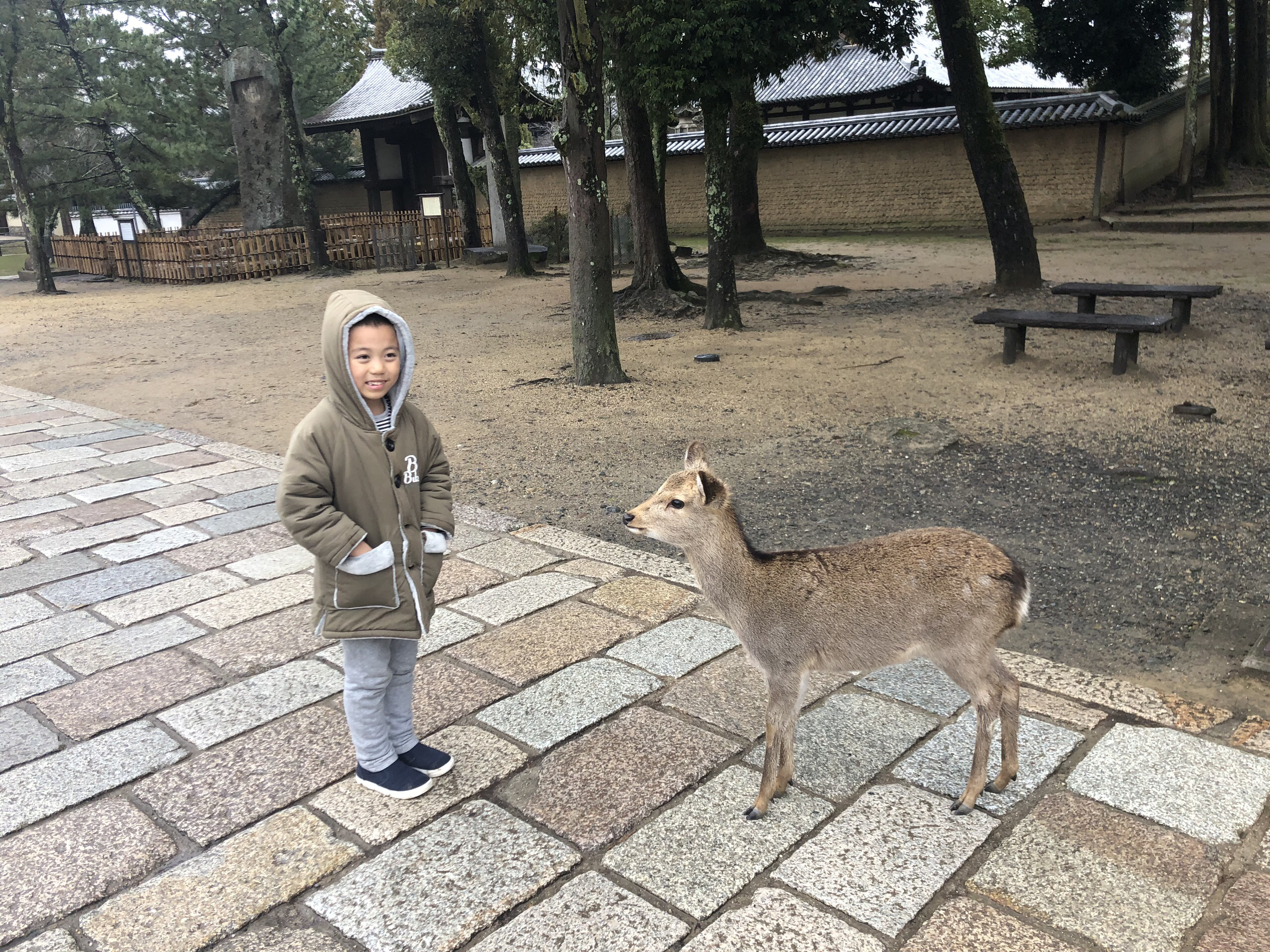 东京美食-Housoukaikammaronie