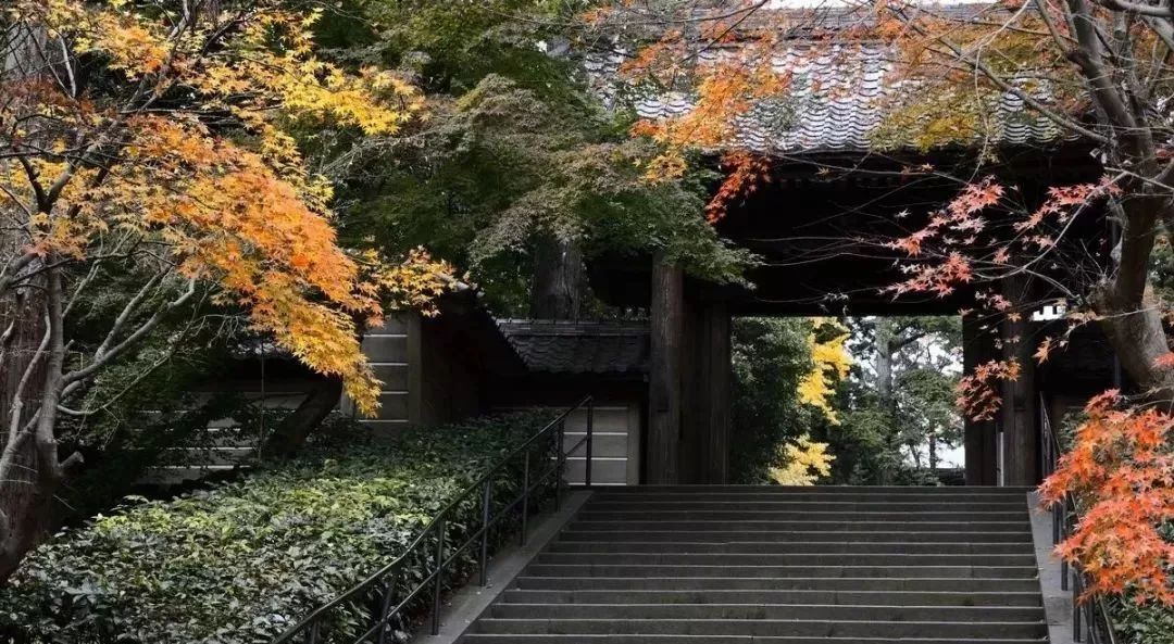 潜派旅行