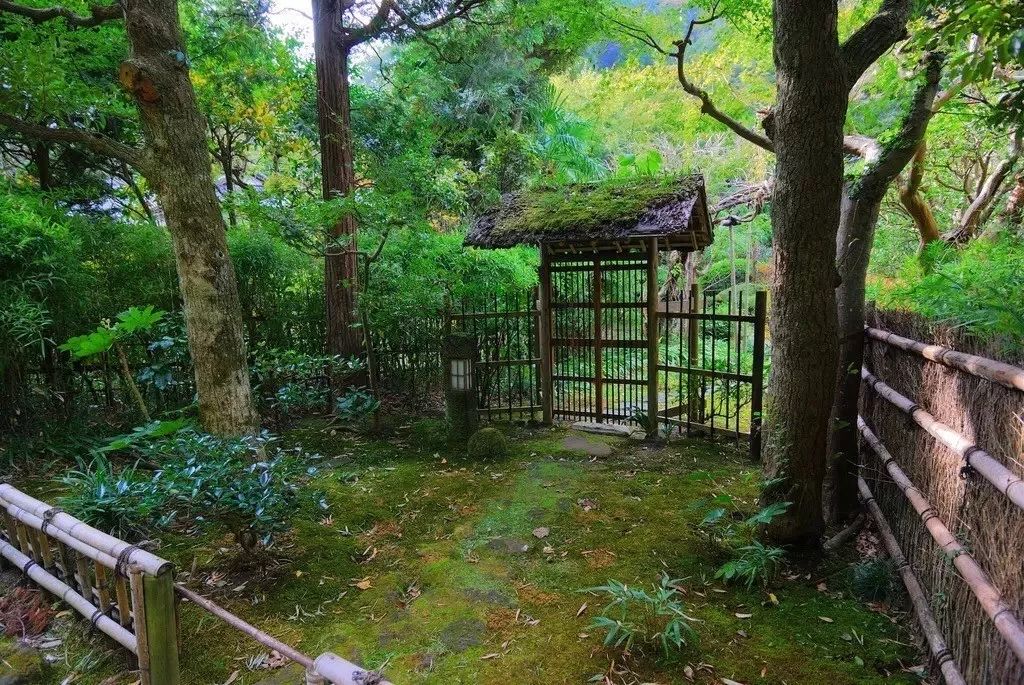 潜派旅行