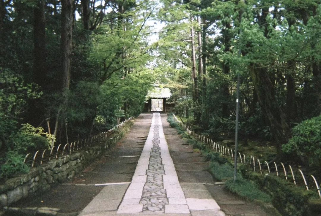 潜派旅行