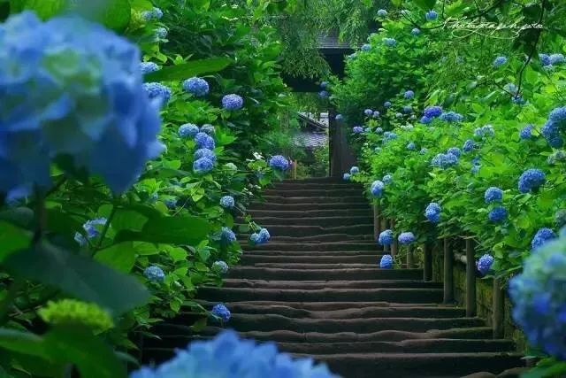 潜派旅行