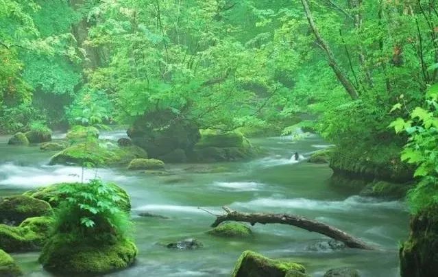 潜派旅行