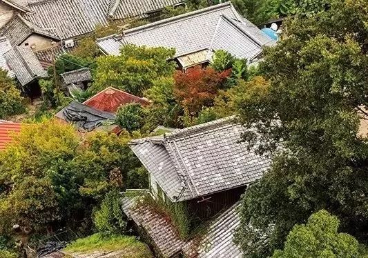 潜派旅行