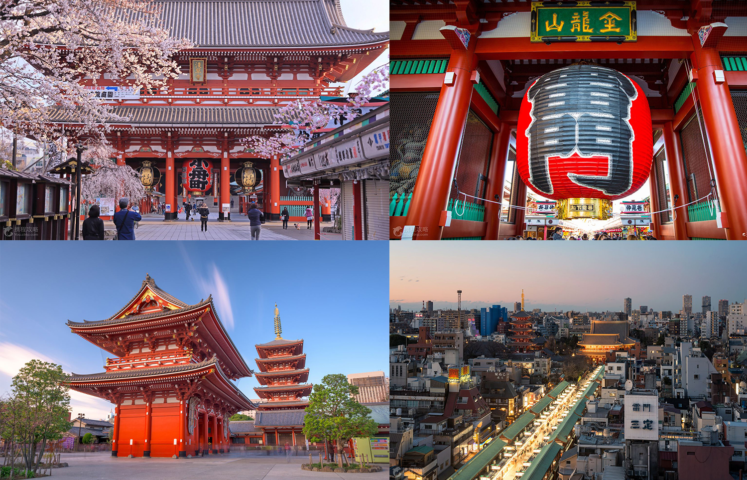 潜派旅行