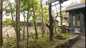 潜派旅行