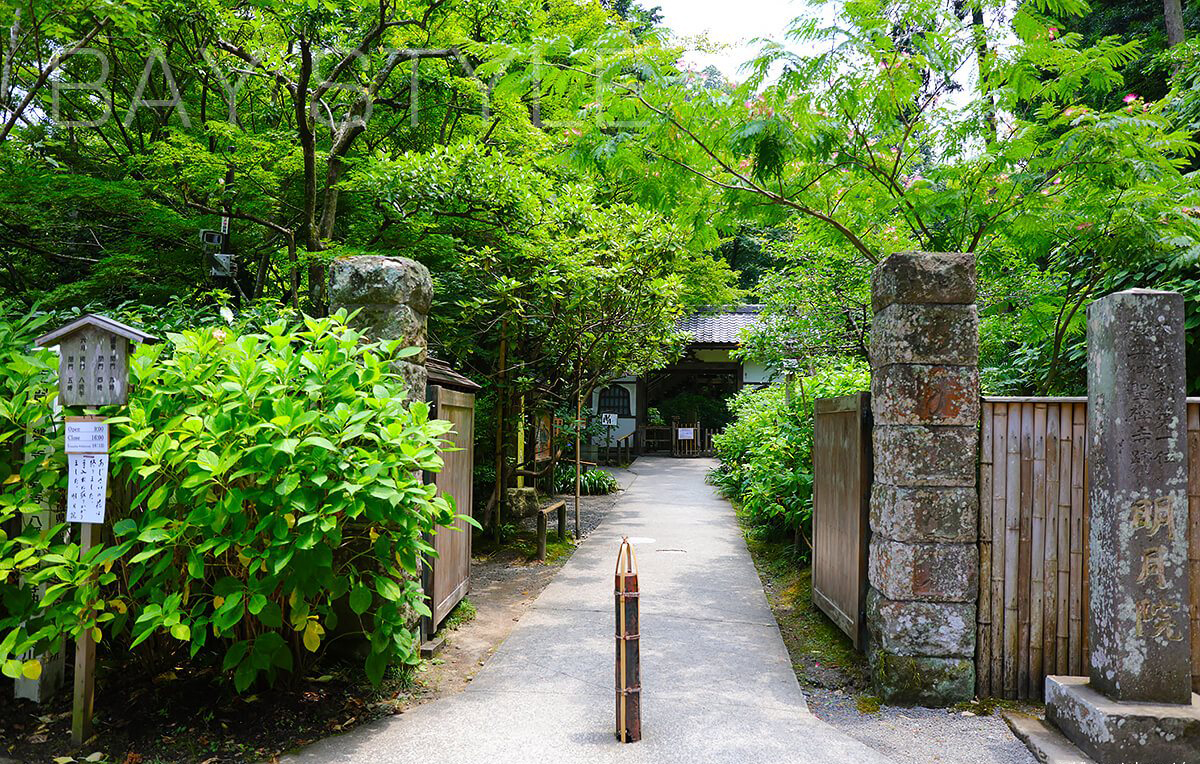 潜派旅行