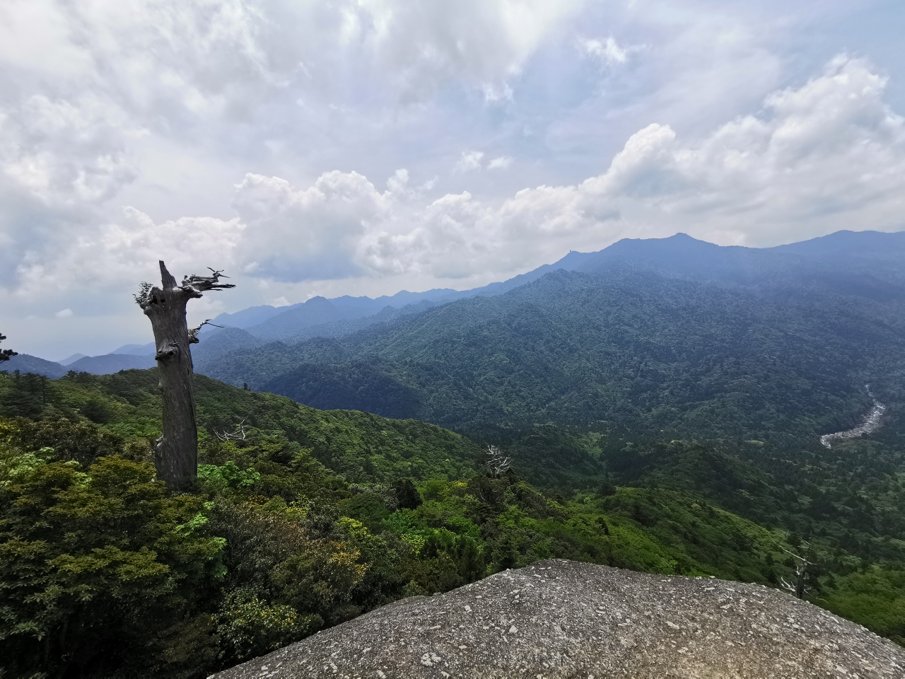 被森林之神邀请的南九州鹿儿岛，指宿，屋久岛之旅_游记
