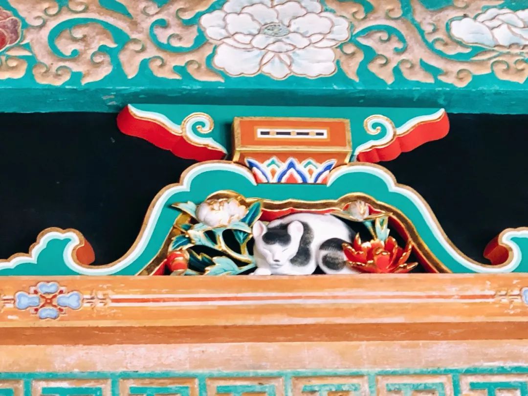 潜派旅行