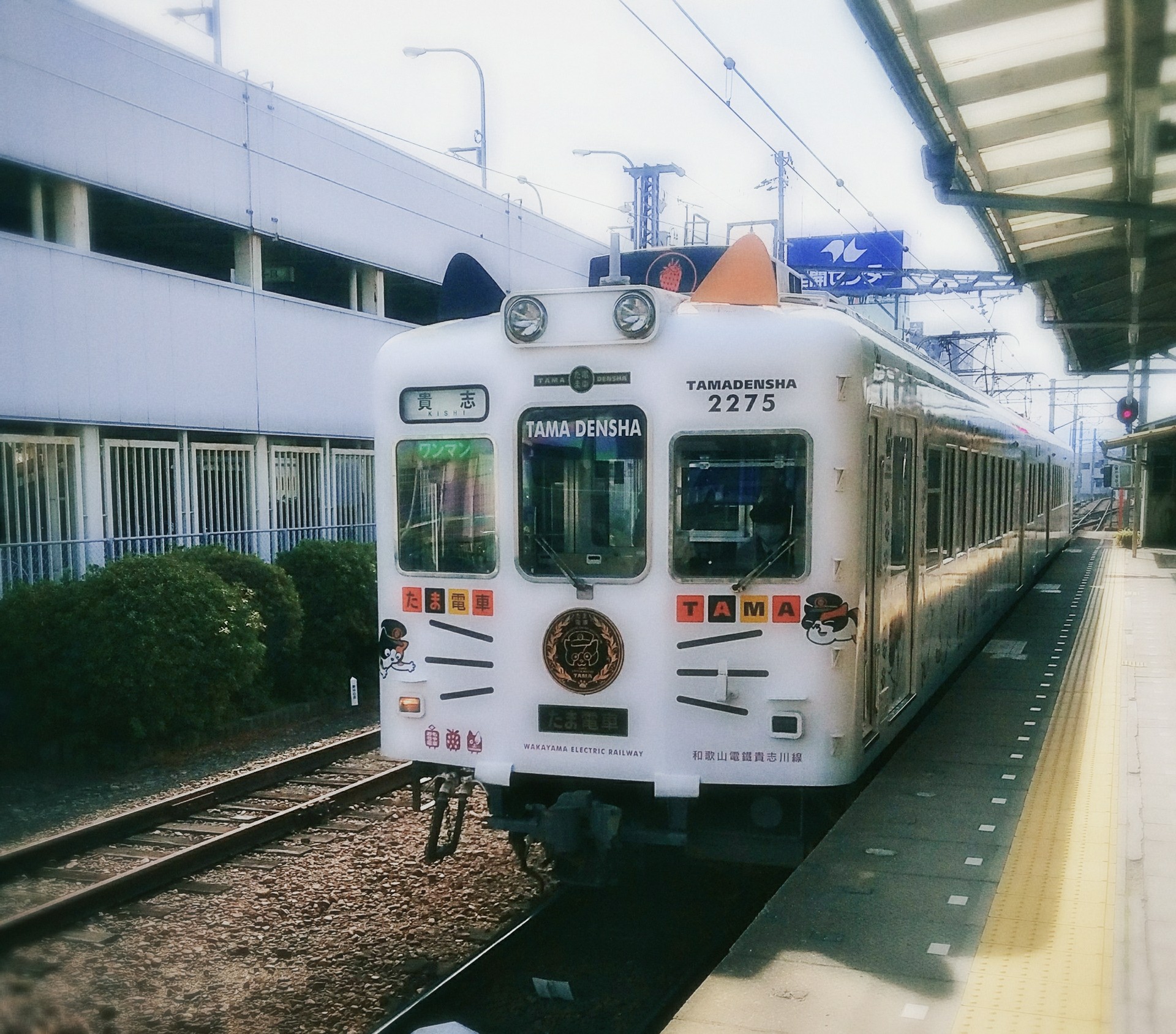 和歌山·电车之旅_游记