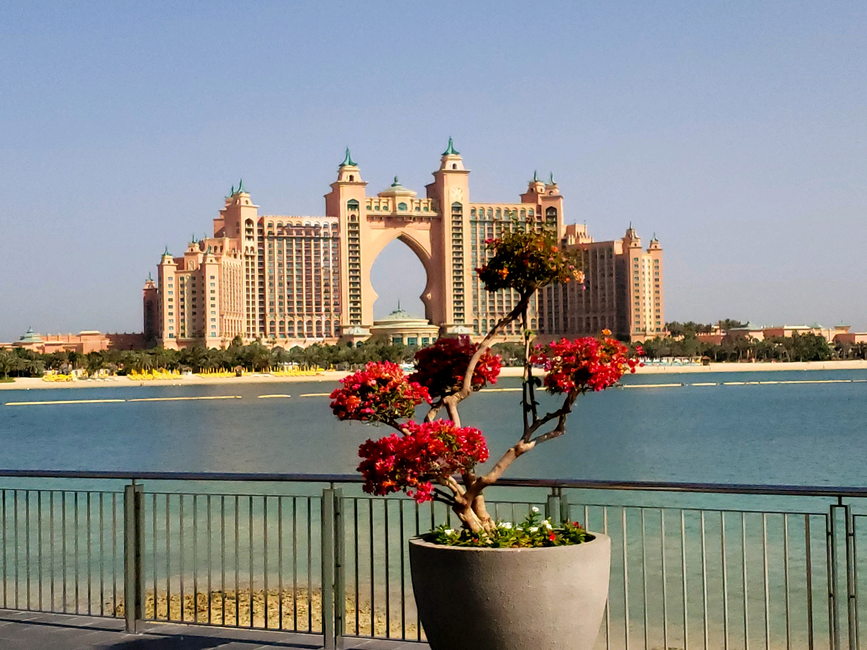 迪拜美食-Rue Royale Restaurant Dubai