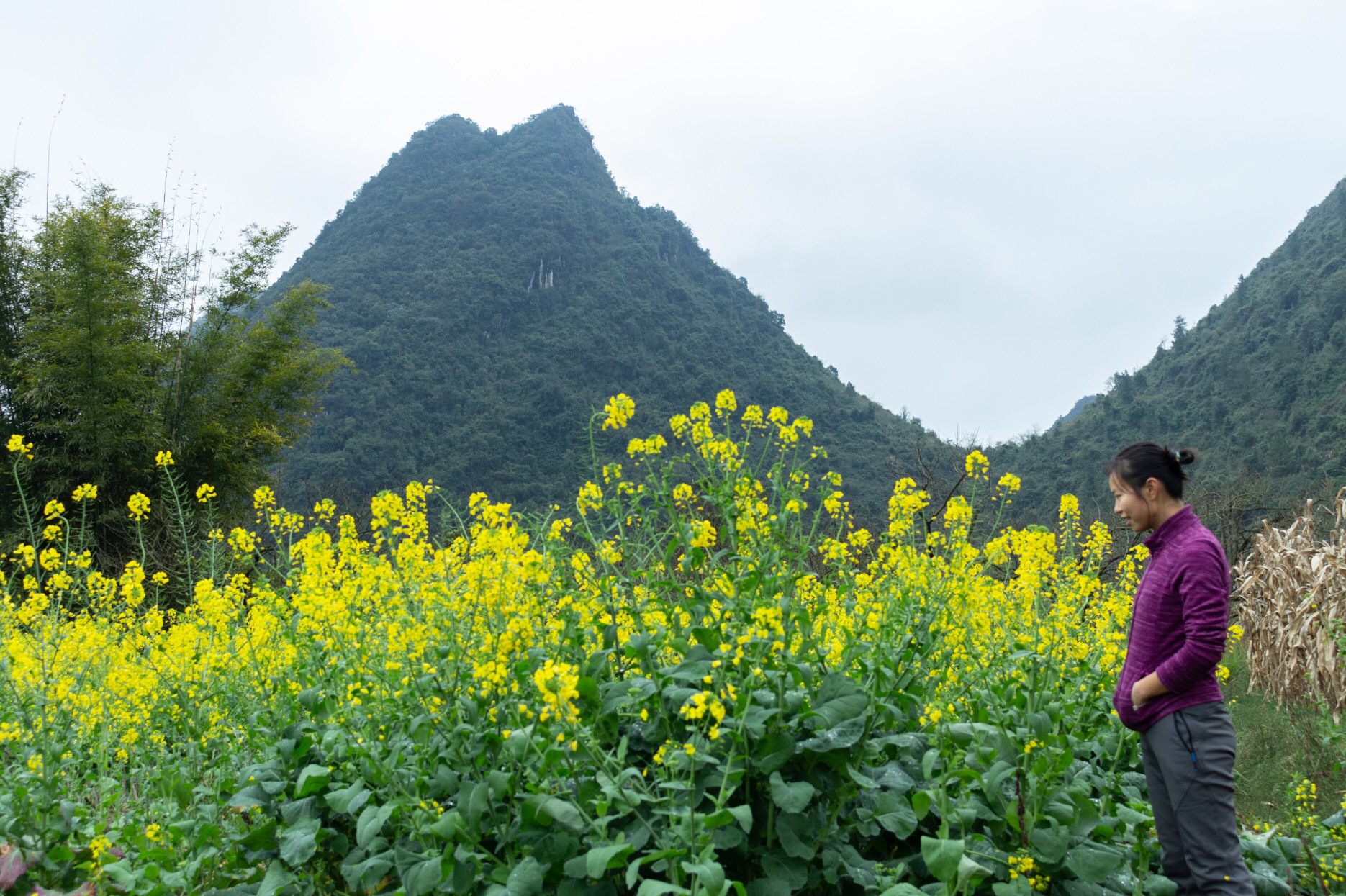 恭城景点