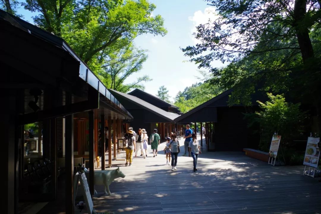 潜派旅行