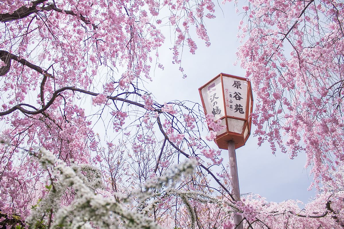 潜派旅行