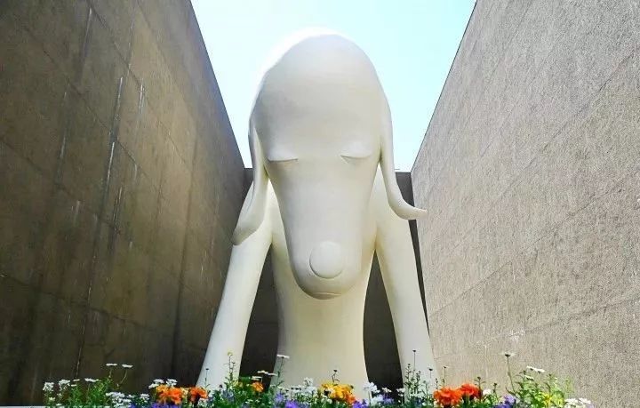 潜派旅行