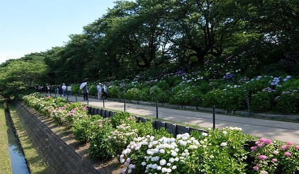 潜派旅行