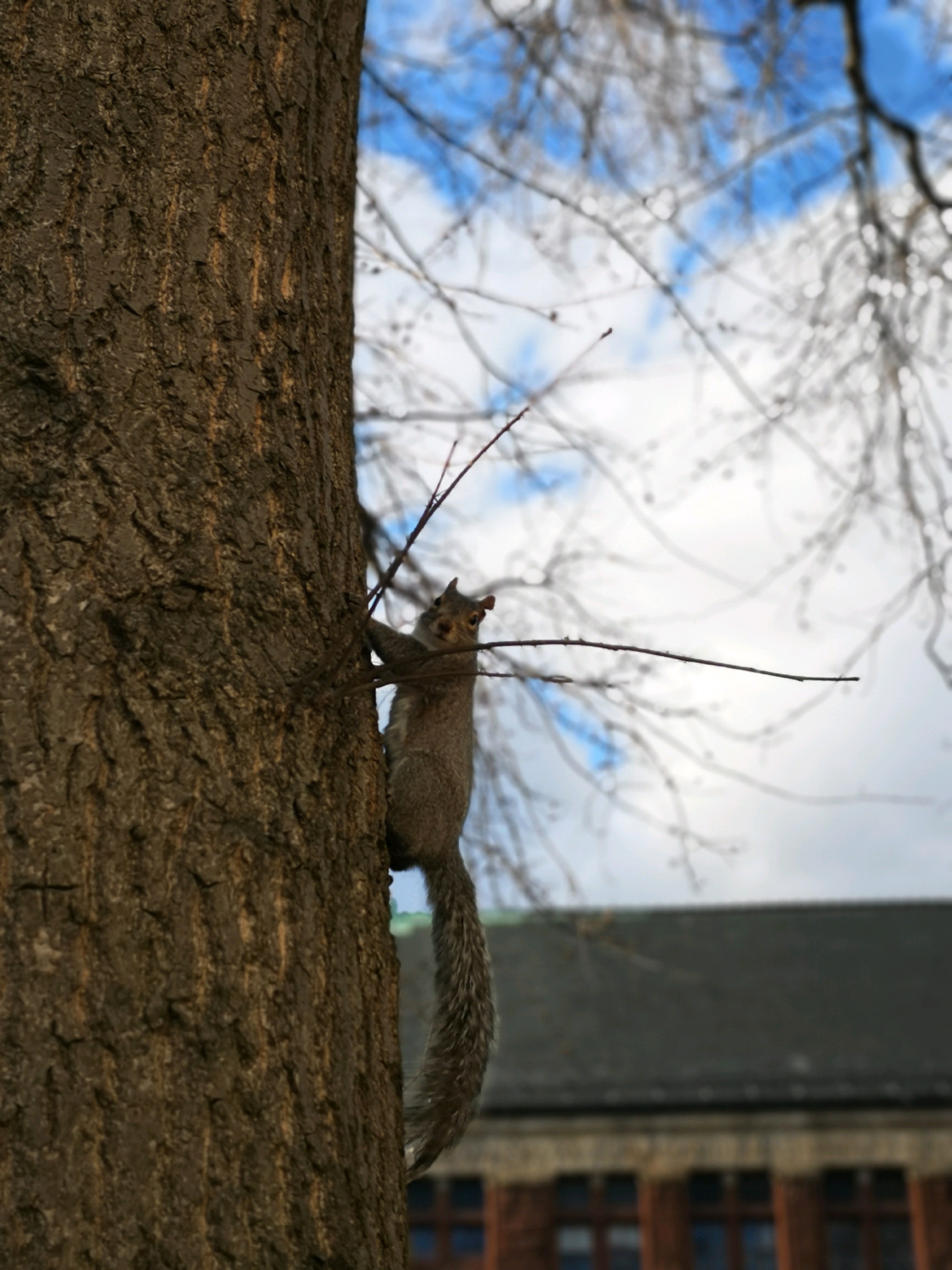 波士顿娱乐-Mass Tavern - 停业