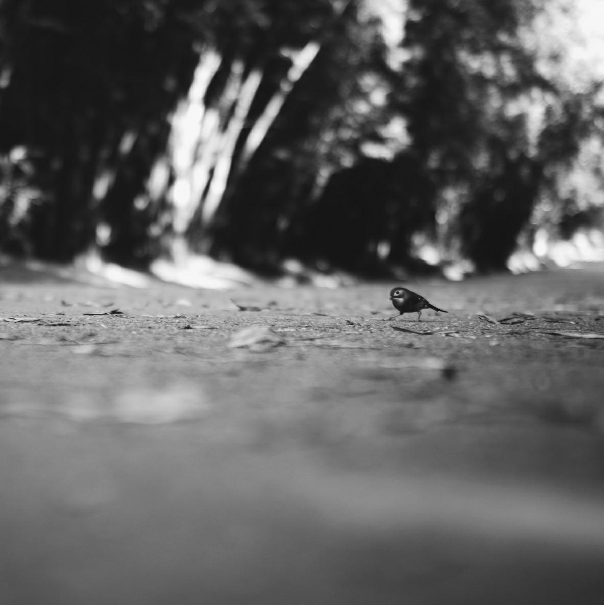 会理 | 那是我最消极的一段时间，我选择了旅行_游记