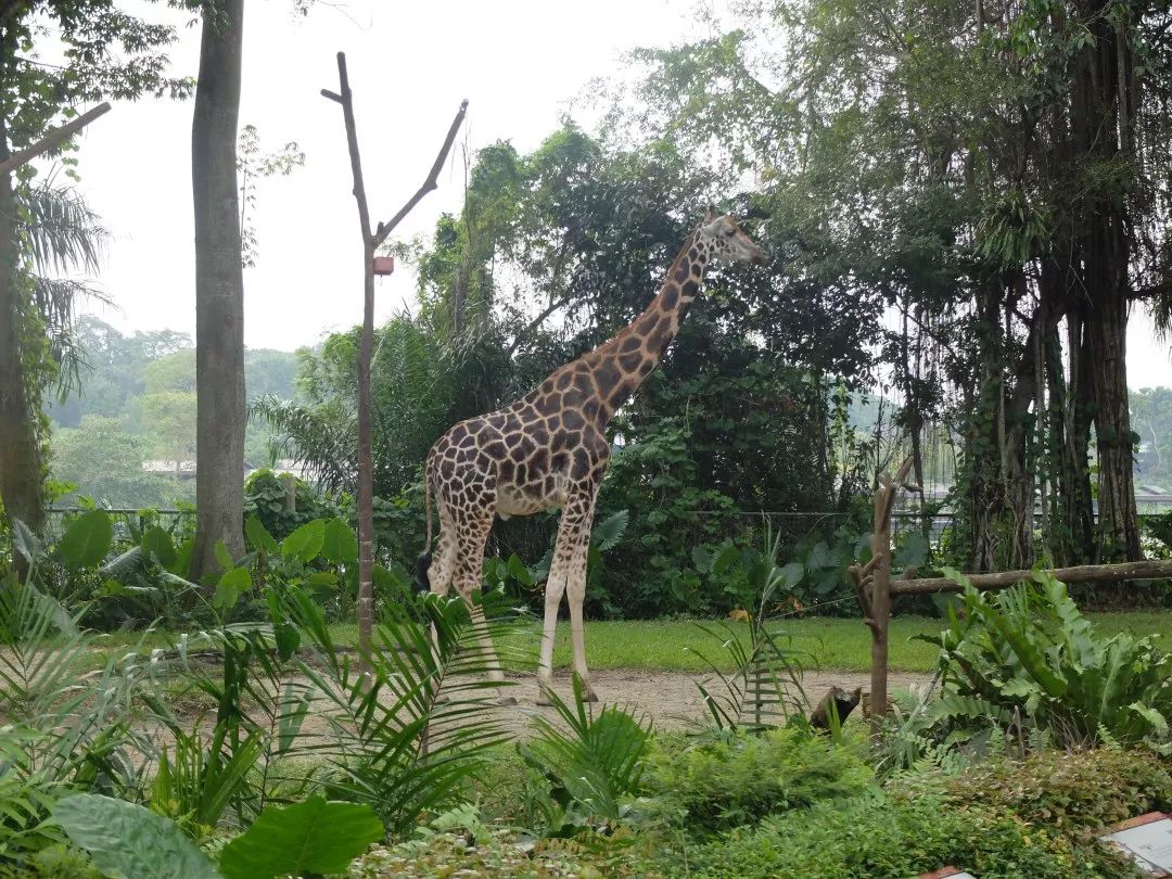 潜派旅行