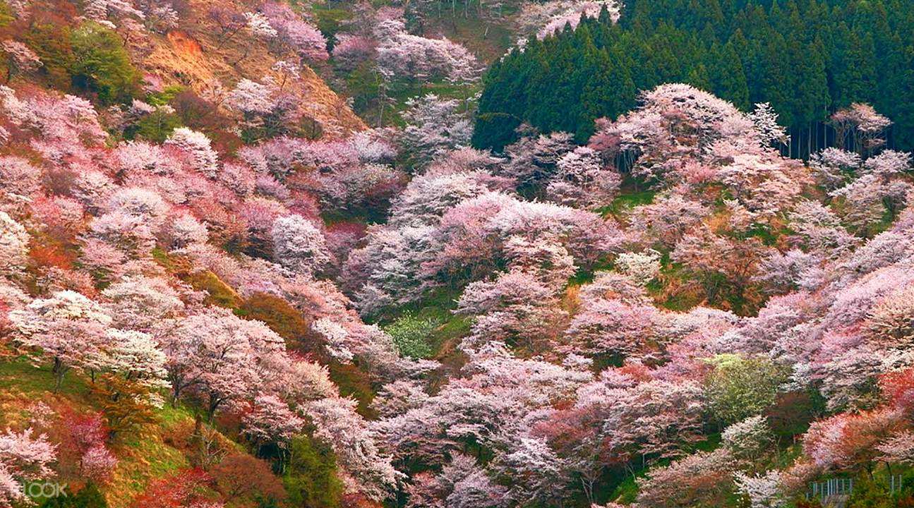潜派旅行
