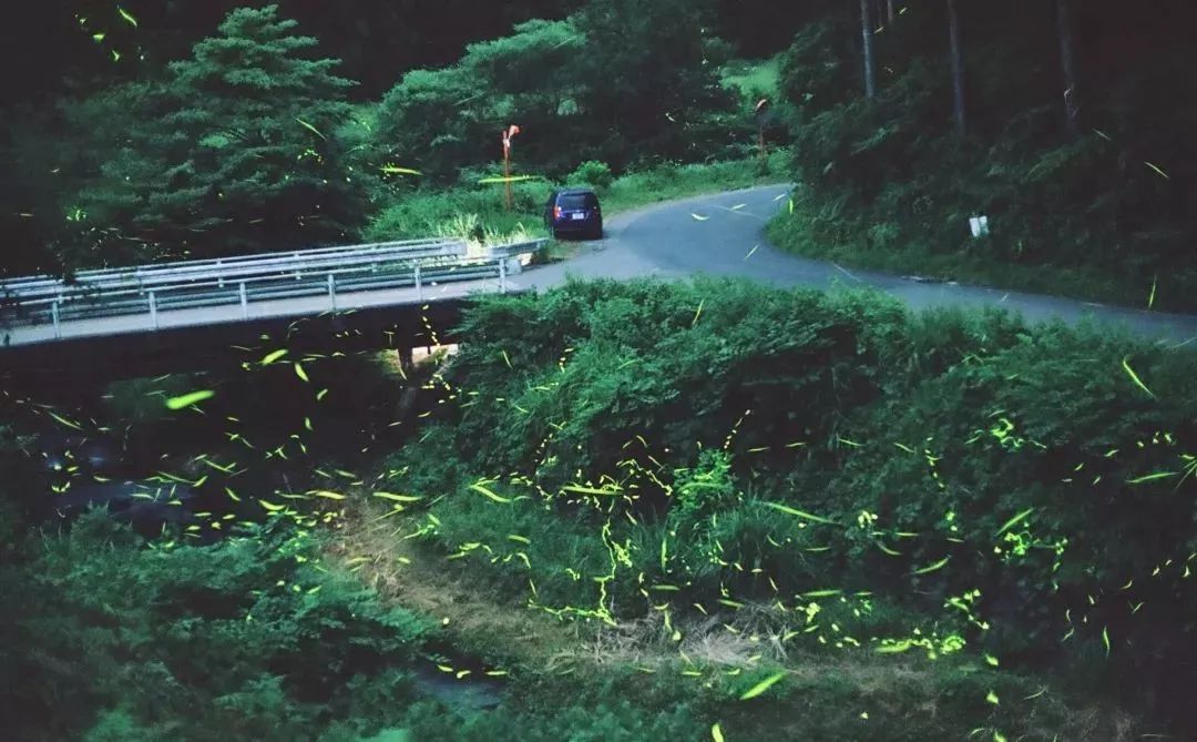 潜派旅行