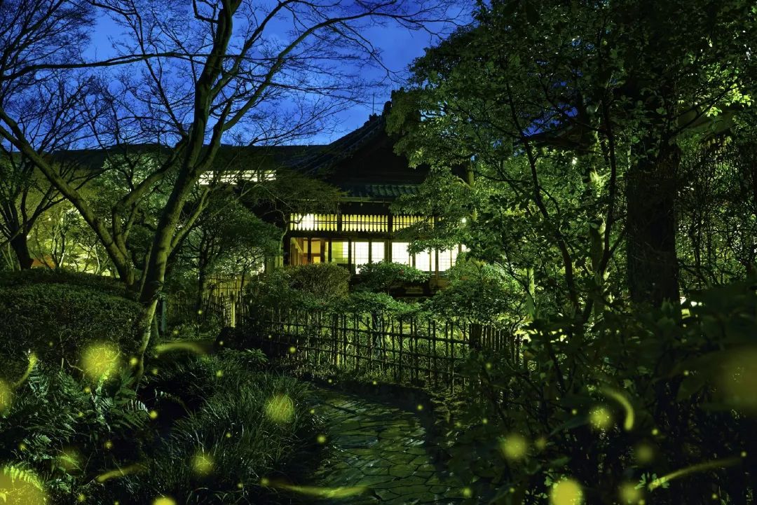 潜派旅行