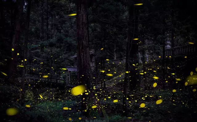 潜派旅行
