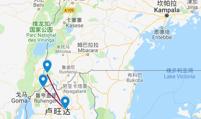 雨中的猩猩 - 乌干达/卢旺达的猩猩们_游记