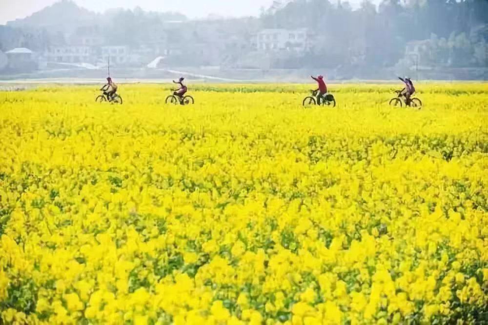 浏阳皇龙大峡谷 梅田湖稻草艺术 摘草莓一日游