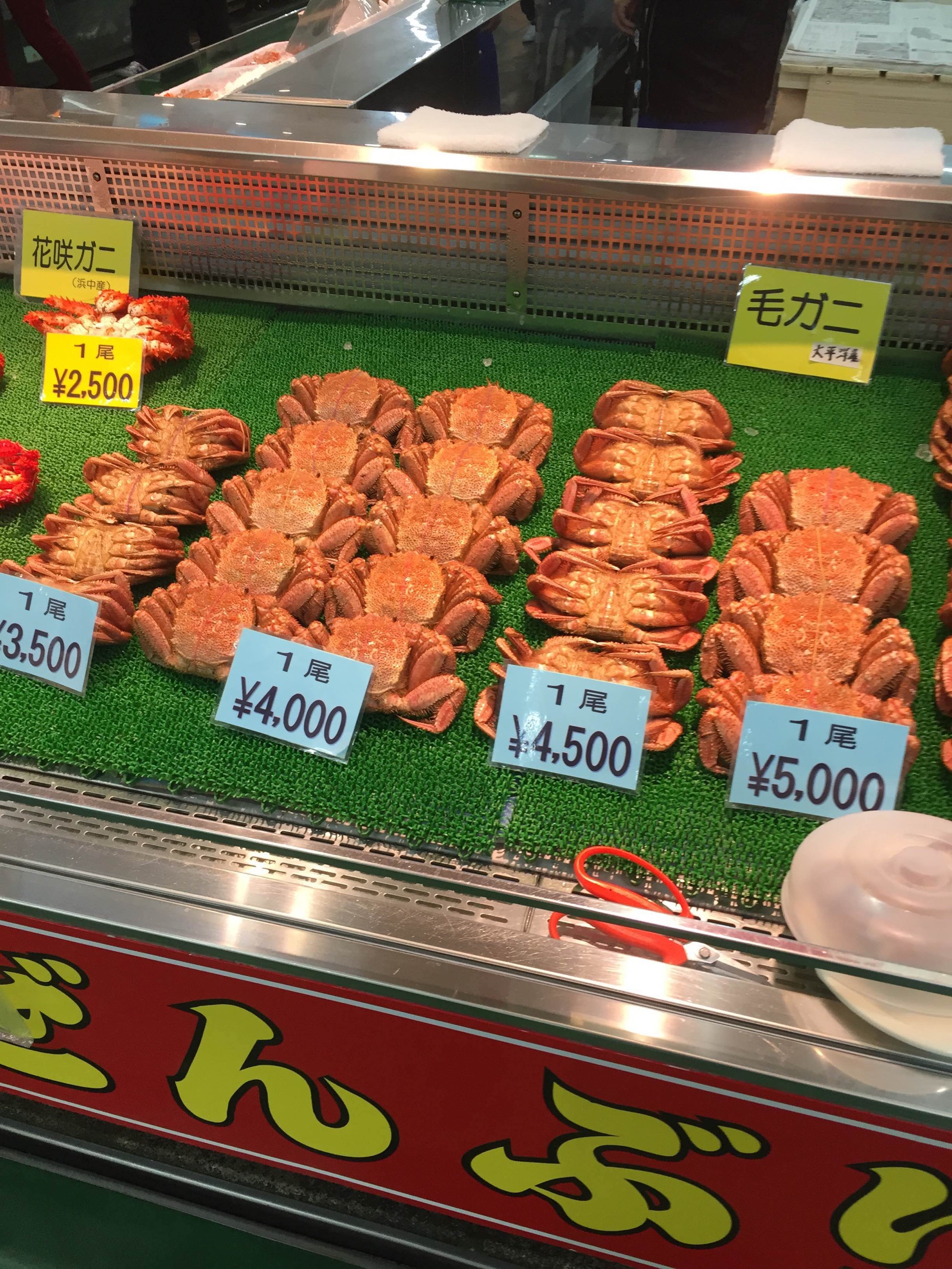 东京美食-hokkaidoukicchimbakuriko