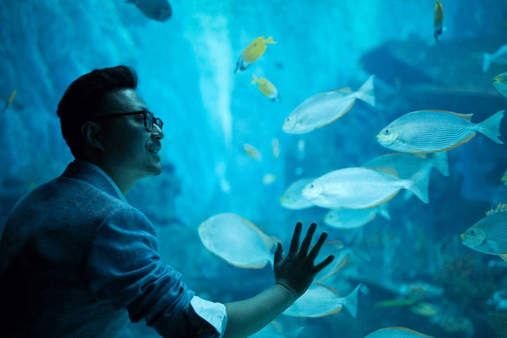 潜派旅行