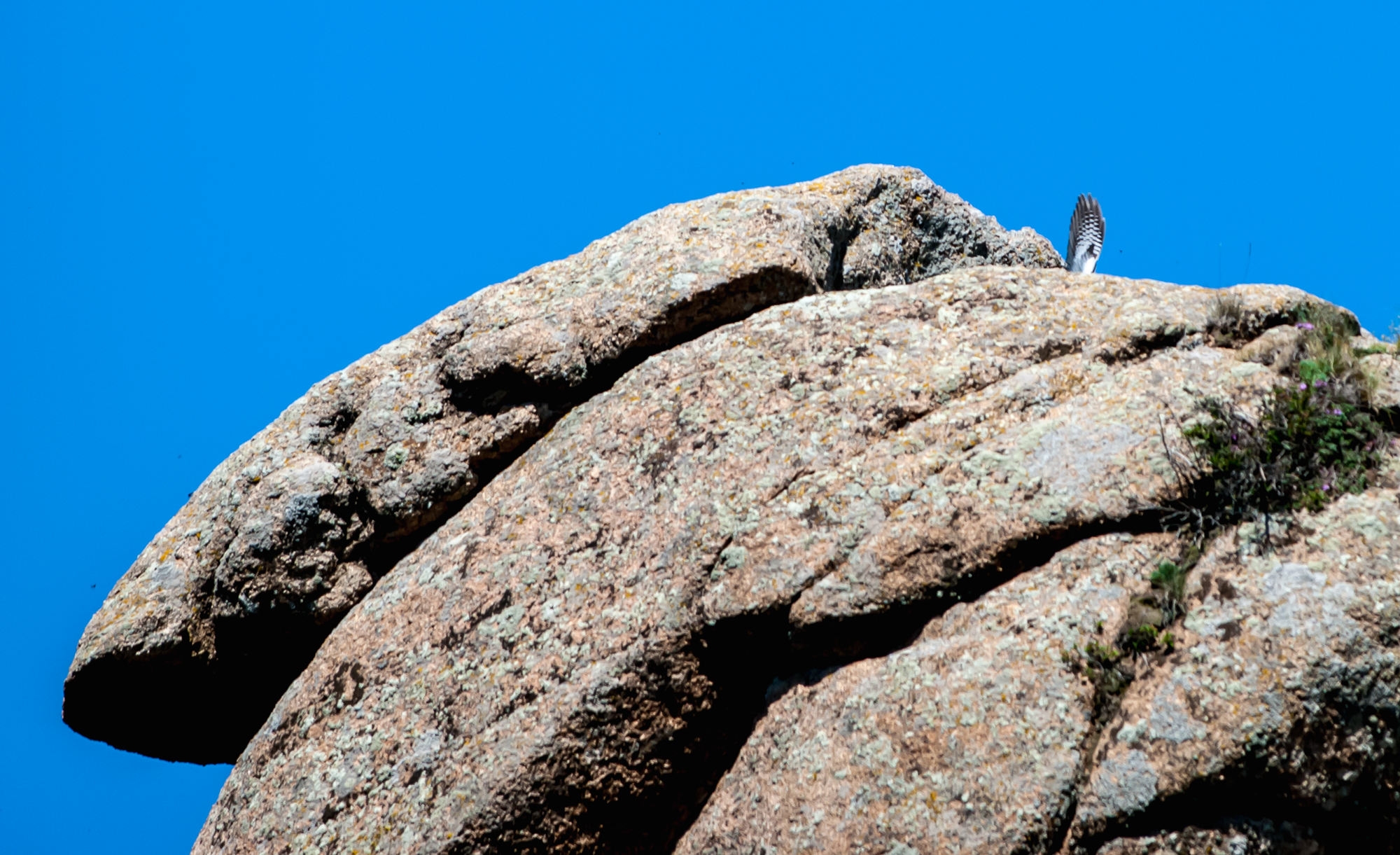 wKgEaVx1NTqAJBKrAA4ShBzH-eU08.jpeg?imageView2%2F2%2Fw%2F600%2Fh%2F600%2Fq%2F90