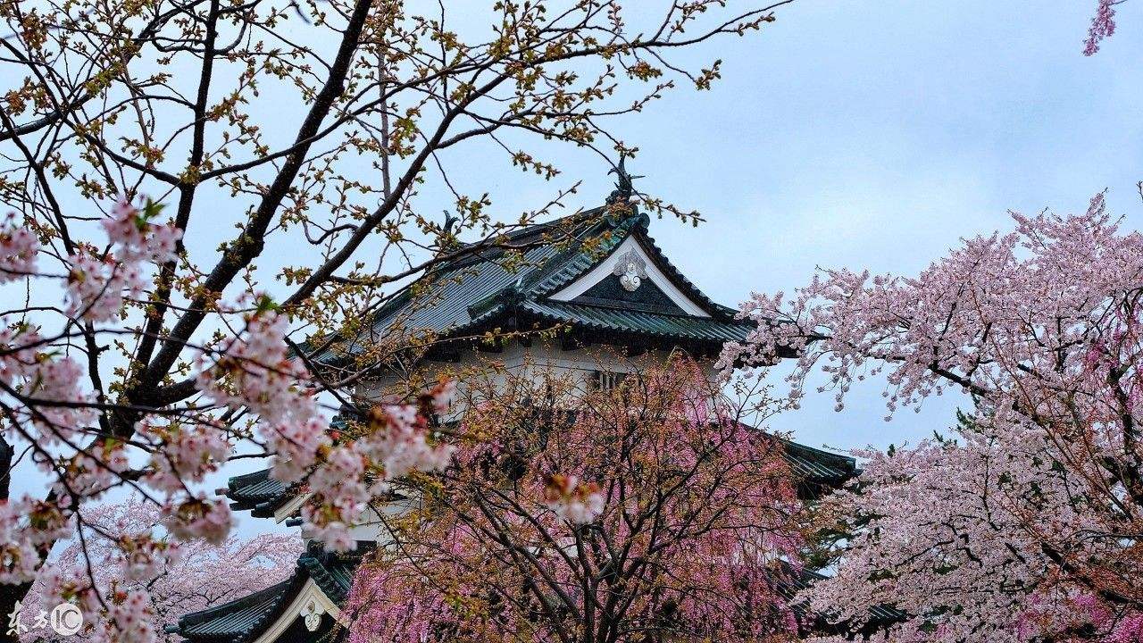 潜派旅行