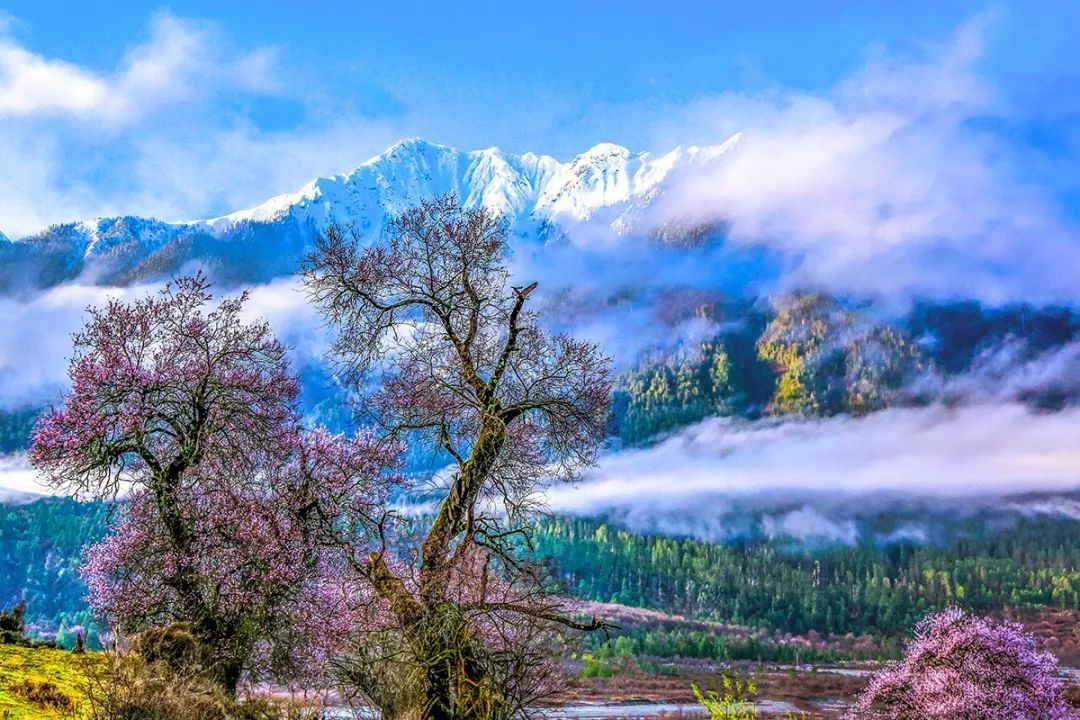 【察隅景点图片】察隅县
