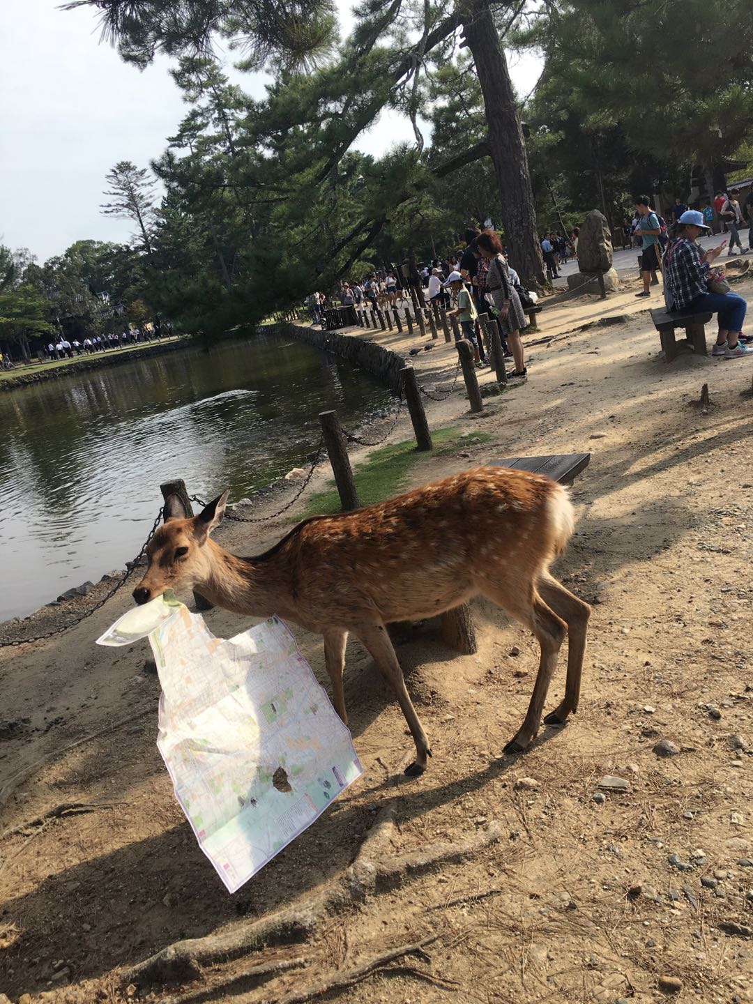 潜派旅行