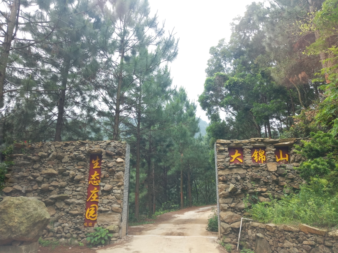 2019-4-4 大锦山平云山山山滴翠 梦田居御景居居居有情