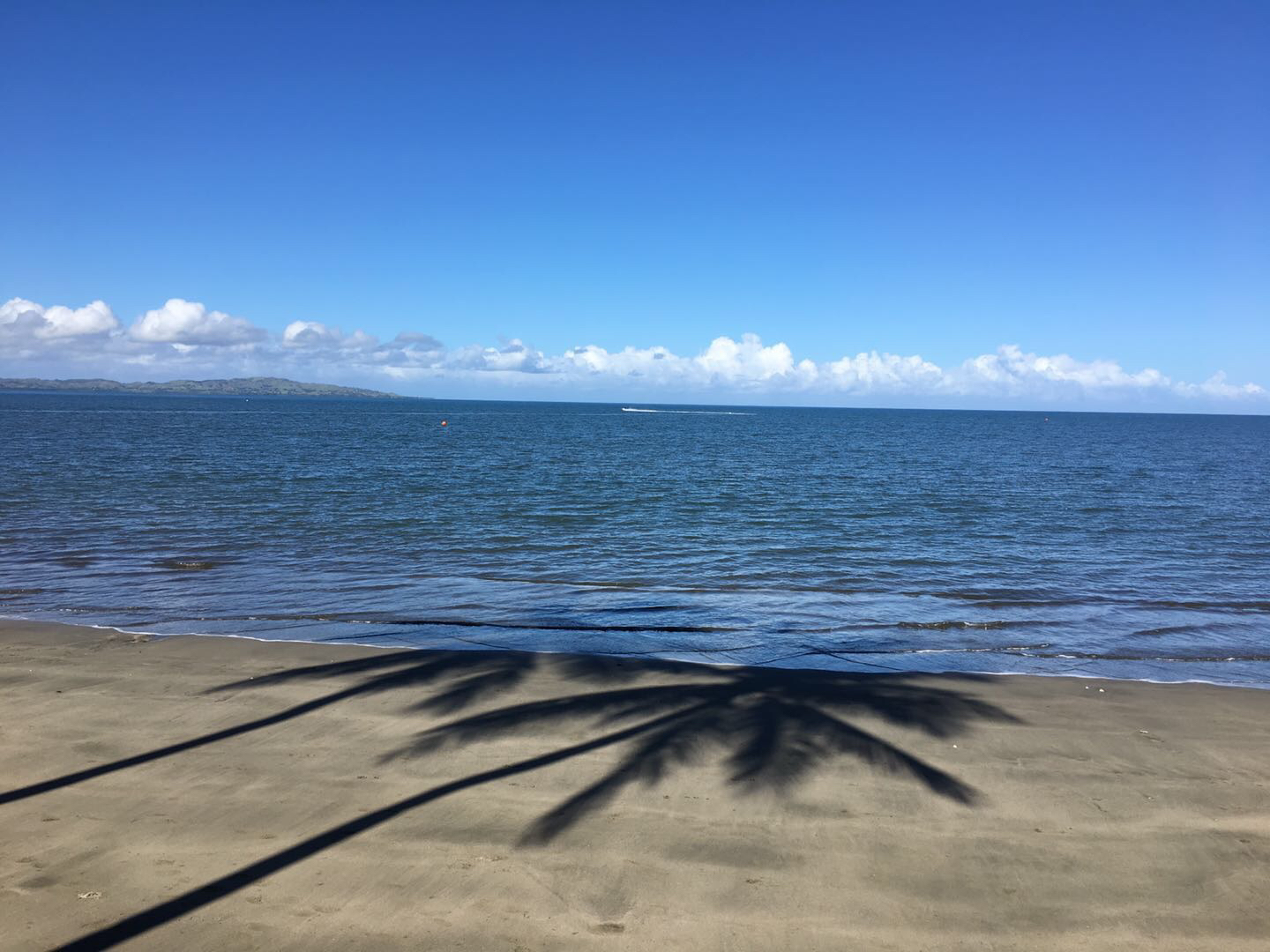 汤加美食-Fins 'n' Flukes Ocean View Restaurant