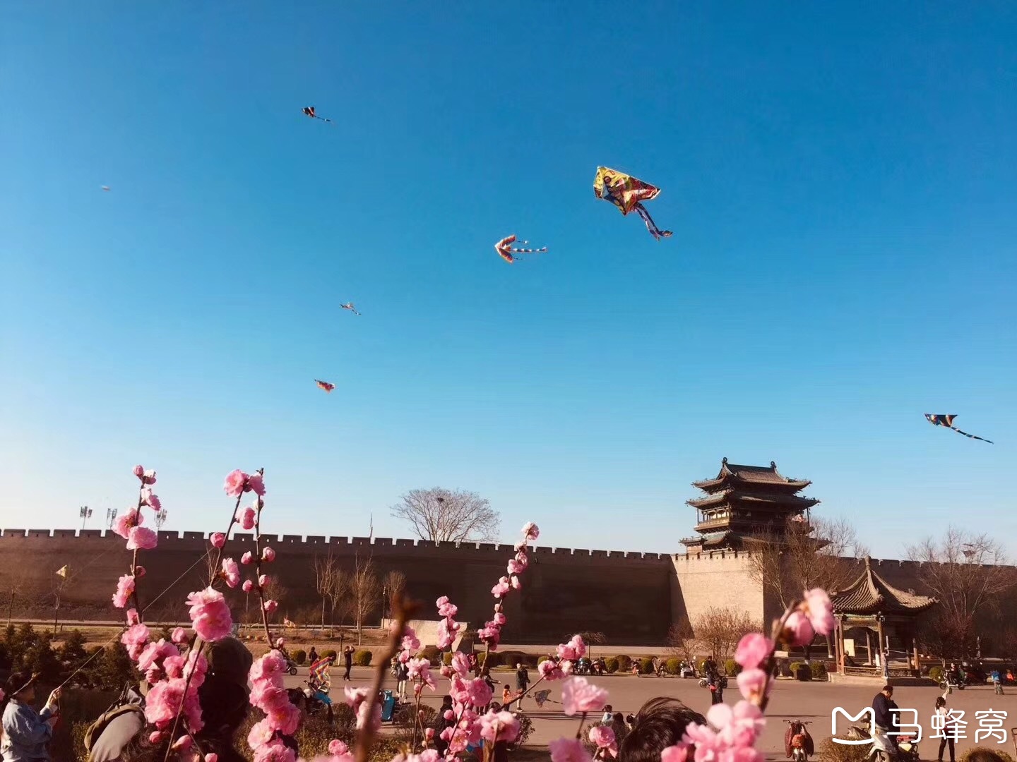 山西这座慢悠悠的古城，私藏了春日最美的诗意~_游记
