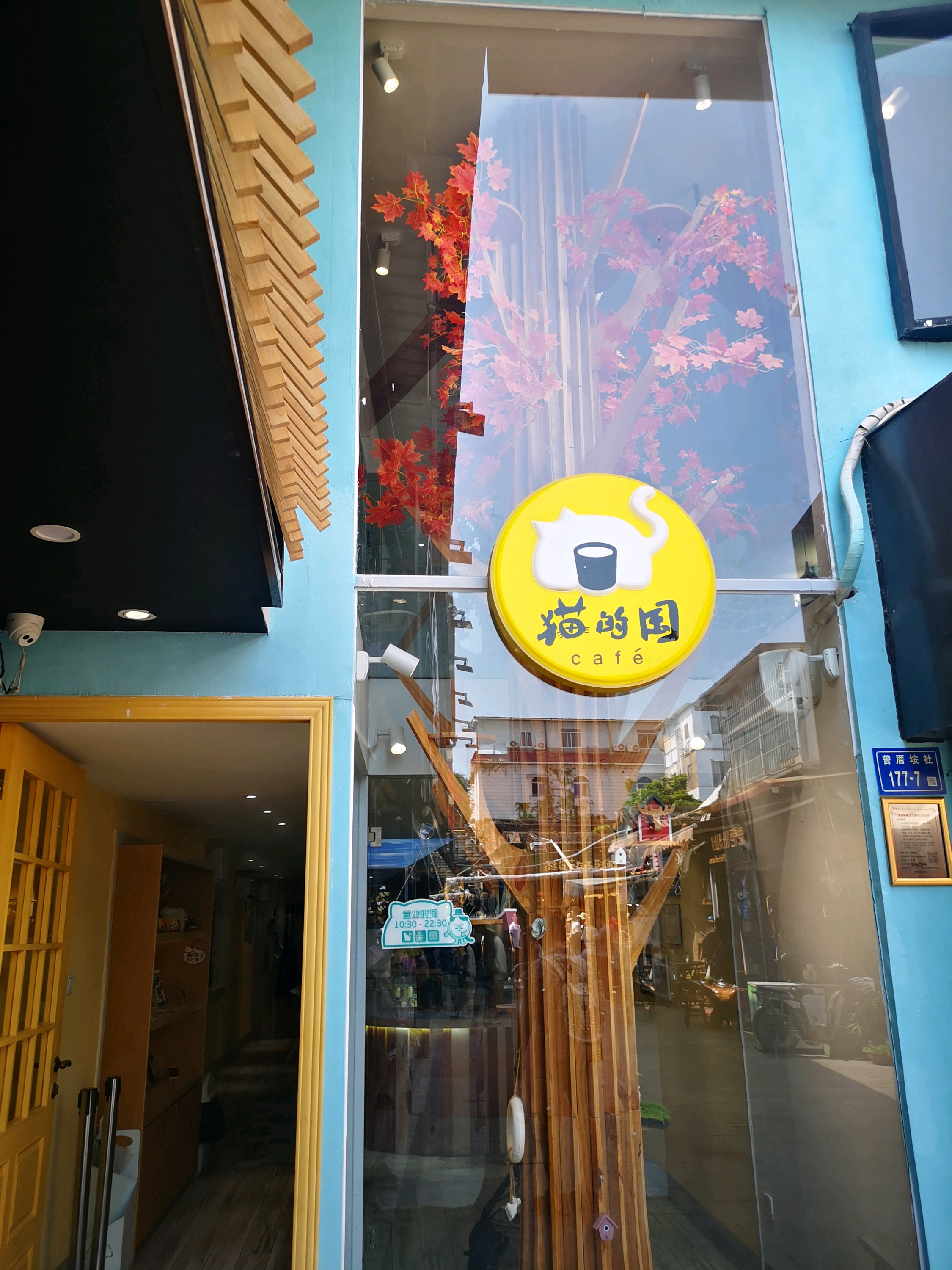 厦门美食-猫的国咖啡馆