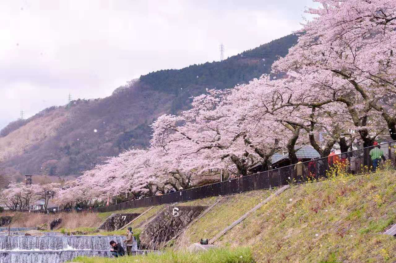 潜派旅行