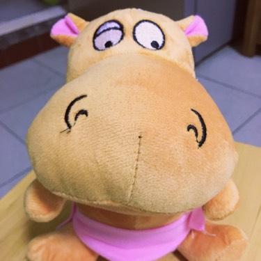 晴空下的洛可可