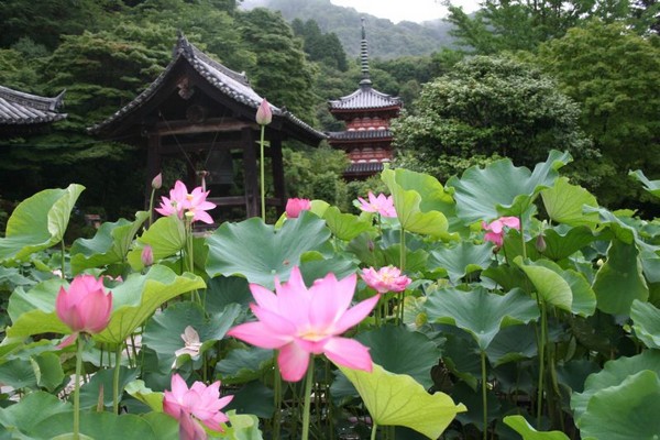 潜派旅行