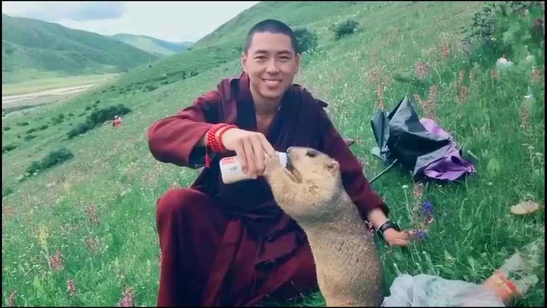 【掌柜故事】桑科草原上的巴郎子_游记