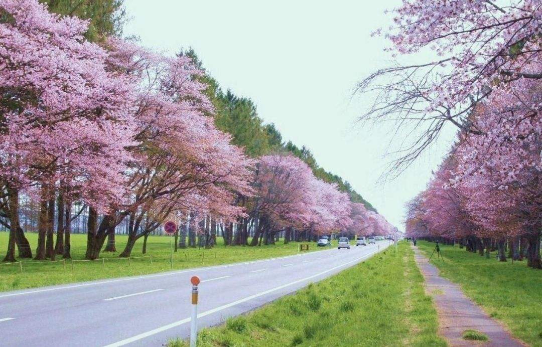 潜派旅行