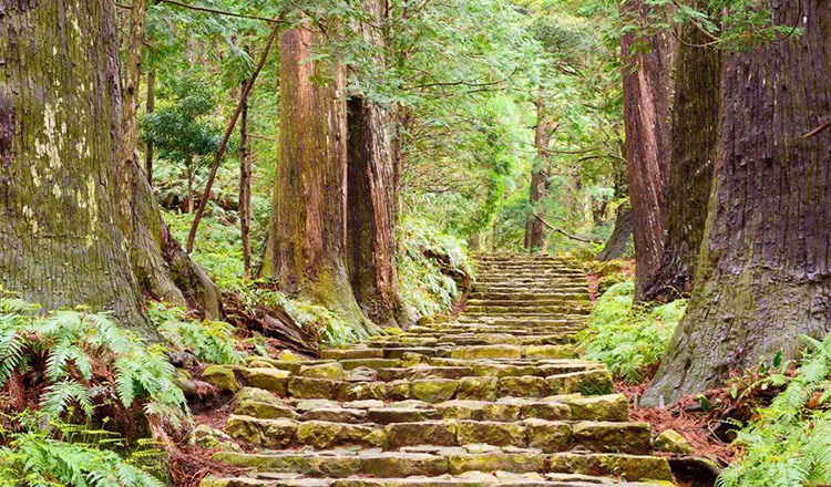 【探秘关西】无锡直飞日本和歌山-熊野古道-京都-奈良