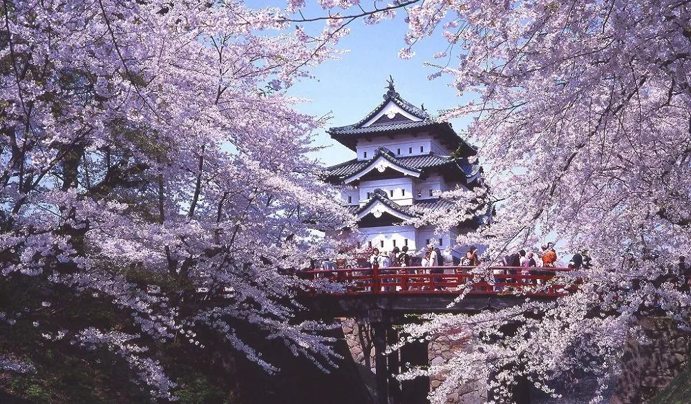 潜派旅行